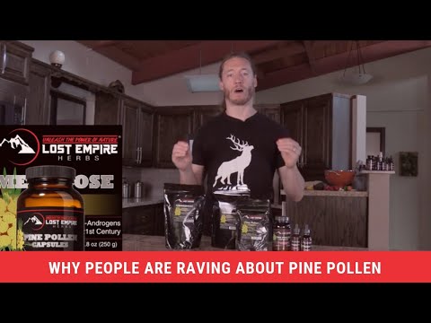 Pine Pollen - 245  Reviews and 4.5 Stars of Satisfied Customers