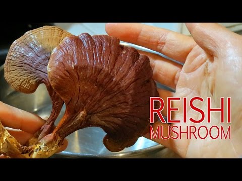 How To Make Reishi Mushroom Tea (Ling Chi, Ling Zhi)
