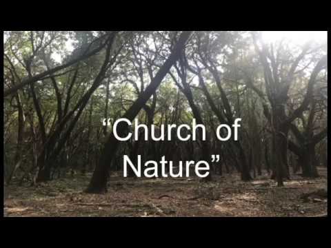 Church of Nature