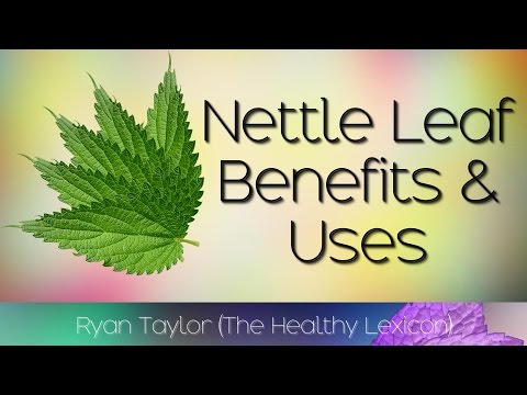 Nettle Leaf: Benefits and Uses