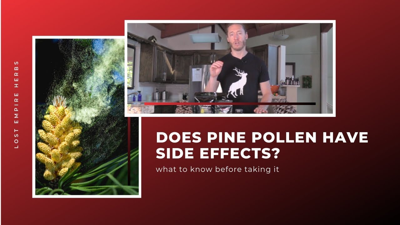 Pine Pollen Side Effects? Allergies, Too Much Testosterone, and Other Effects