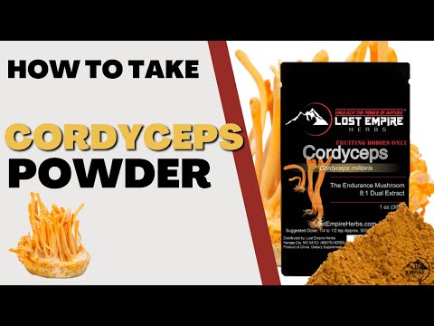 How to Take Cordyceps Militaris Mushroom Powder