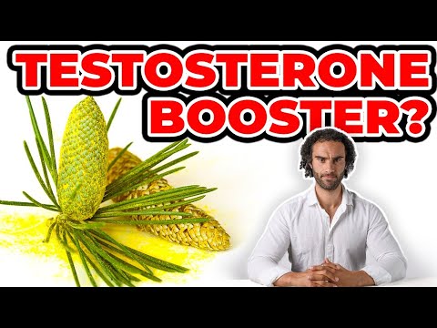 The Most Powerful Testosterone Boosting Food? (Pine Pollen Review)