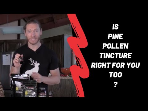 Hundreds of Customer Reviews of High-potency Pine Pollen Tincture