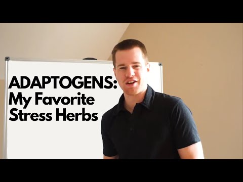 ADAPTOGENS: My Favorite Stress Herbs