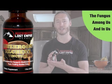 Mushrooms Alchemy - How to Boost Your Immune System When You Need it the Most