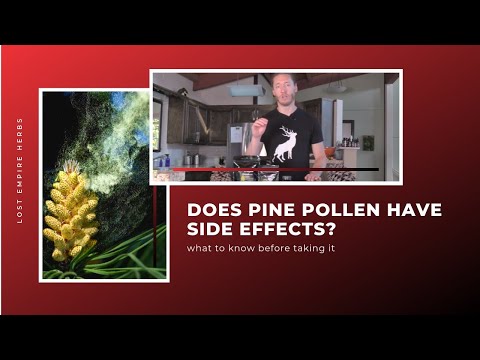 Does Pine Pollen Have Side Effects? What you need to know before taking it