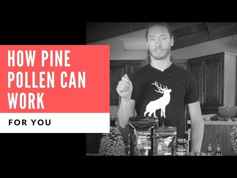 How our most popular herb, Pine Pollen, can help you reach your health goals
