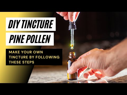 How to Make a Pine Pollen Tincture - Pine Pollen Tinctures Made Easy