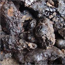 Shilajit has a very few side effects and numerous benefits