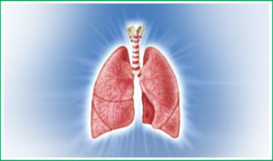 qi lungs