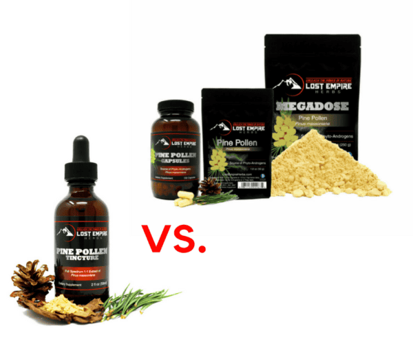 pine pollen tincture vs powder