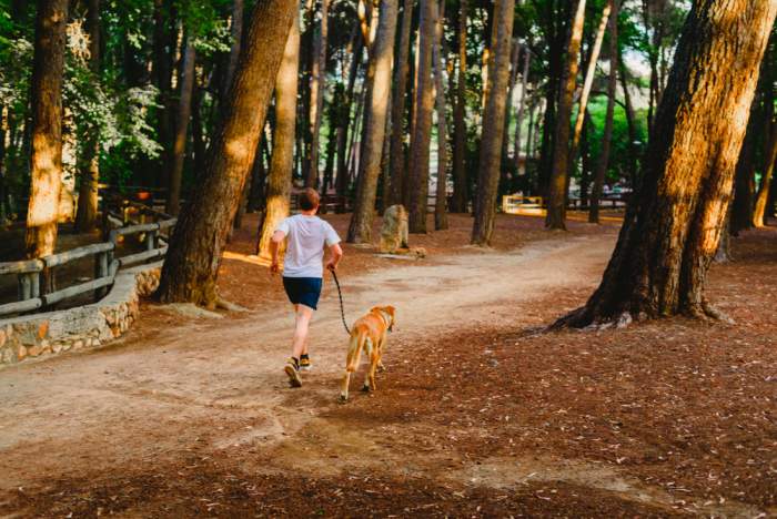 Man jogging with his dog