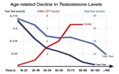 Testosterone Decline Chart (courtesy of Medscape)