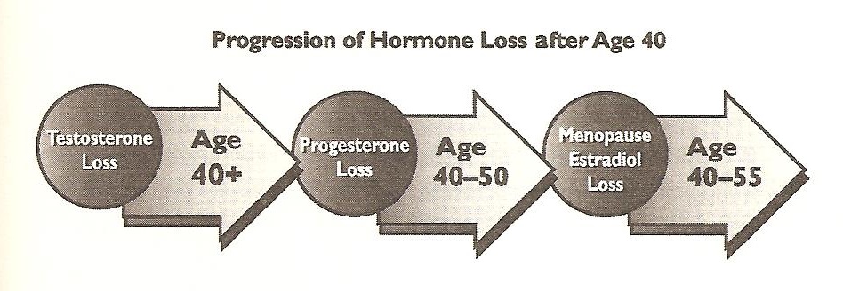 Womens Progression of Hormone Loss