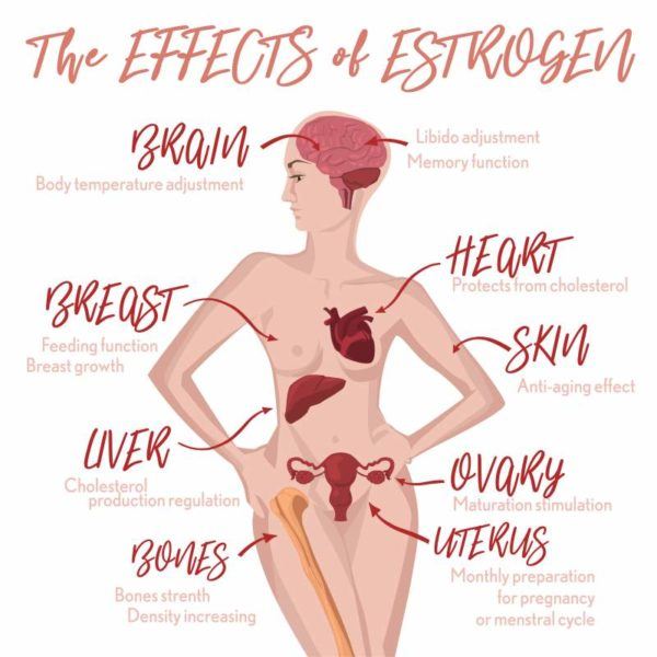 The effects of estrogen chart