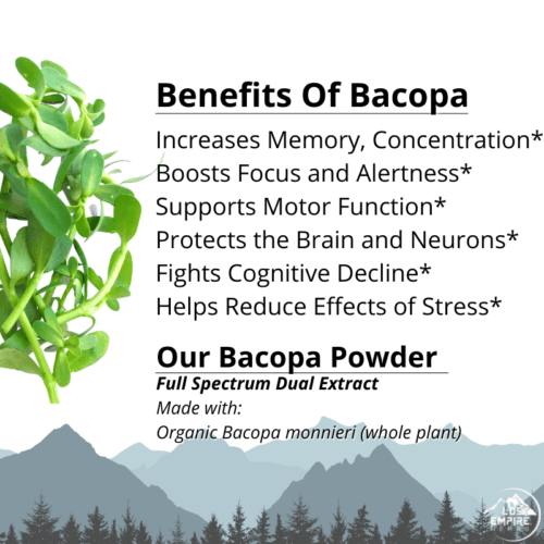 Bacopa Benefits Benefits _ Lost Empire Herbs