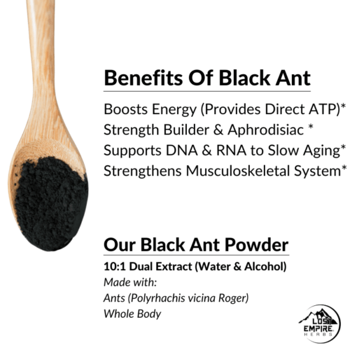 Black Ant Benefits _ Lost Empire Herbs
