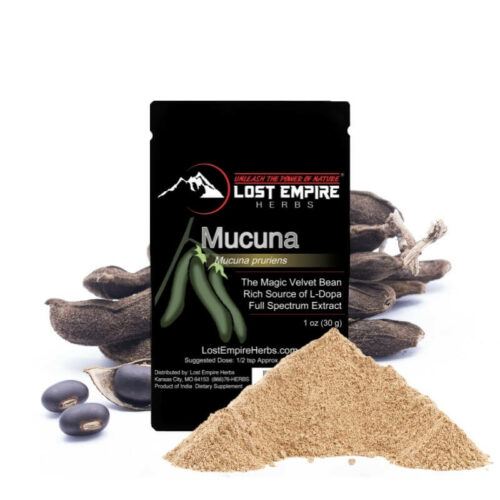 Mucuna Powder _ Lost Empire Herbs