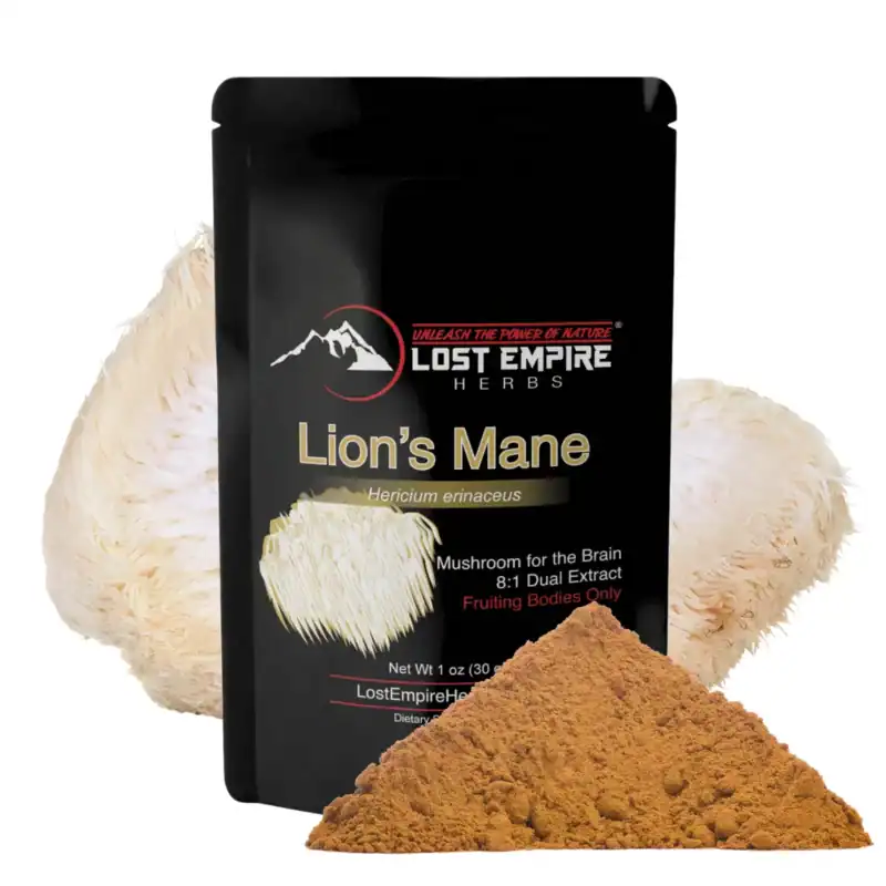 Lion's Mane Mushroom Organic 8:1 Dual Extract Lion's Mane Mushroom Powder by Lost EmpireHerbs
