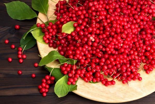 Schisandra Berries