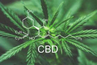 Ep49: CBD and Cannabis with James Sol Radina and Dr. Robert Melamede