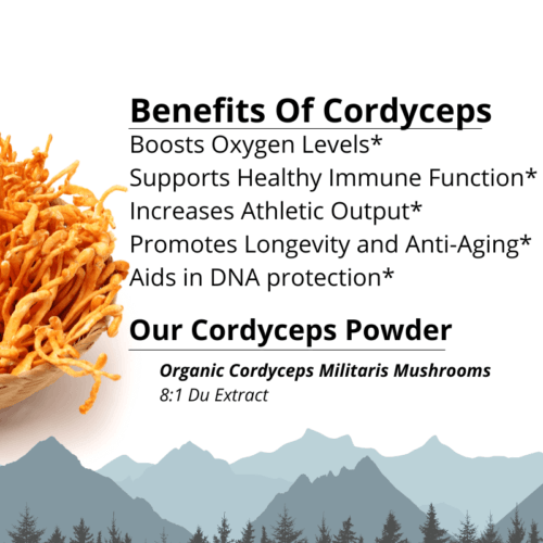 Cordyceps Benefits Benefits _ Lost Empire Herbs