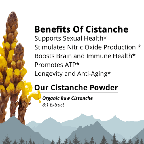 Cistanche Benefits Benefits _ Lost Empire Herbs
