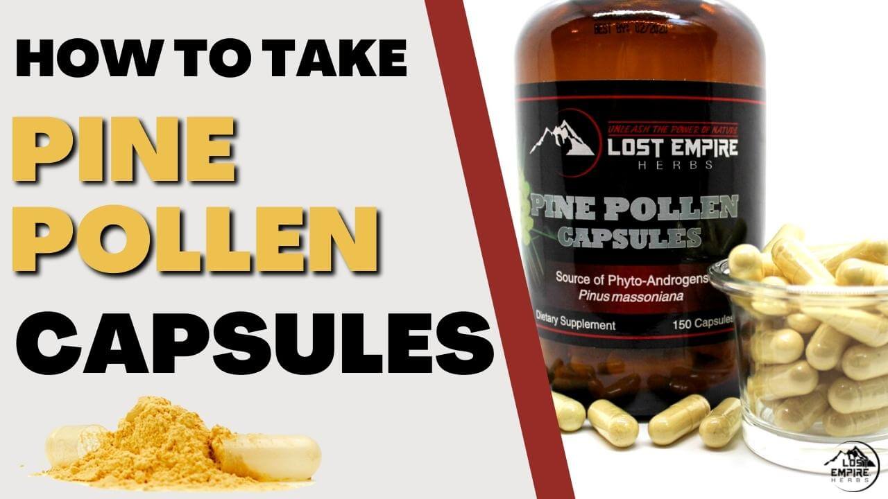 How to Take Pine Pollen Capsules