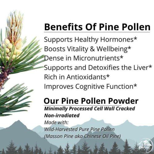 Pine Pollen Benefits Benefits _ Lost Empire Herbs