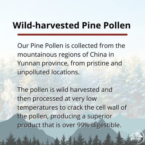 Pine Pollen Extract _ Lost Empire Herbs
