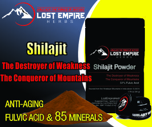 Shilajit Powder