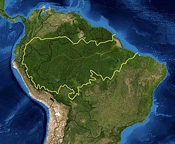 Ep56: Amazon Rainforest Adventures