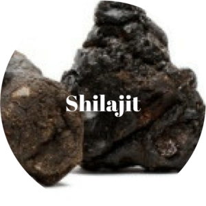 Shilajit and Heavy Metals Toxicity