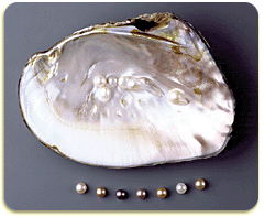 Pearl Powder - Hydrolyzed, Fresh Water Pearls - Lost Empire Herbs