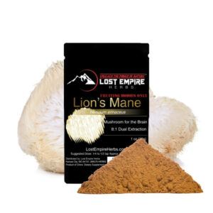 Lion's Mane Mushroom Organic 8:1 Dual Extract (30 Grams)
