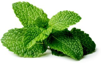 organic mint to increase testosterone production