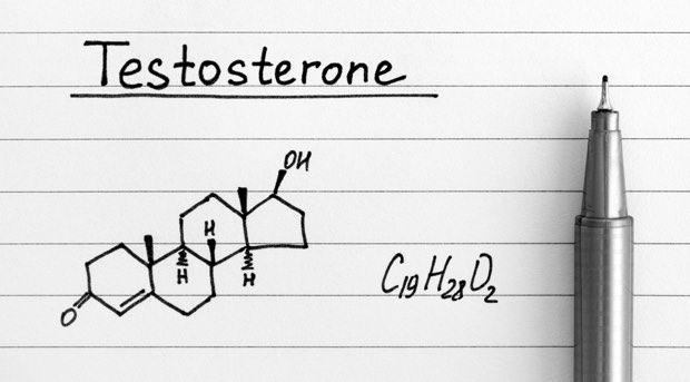 foods that increase testosterone