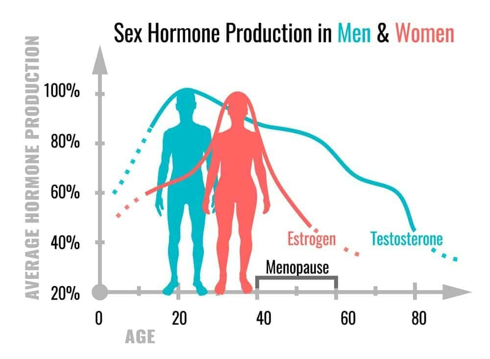 Yin Within The Yang The Importance Of Testosterone In Womens Health