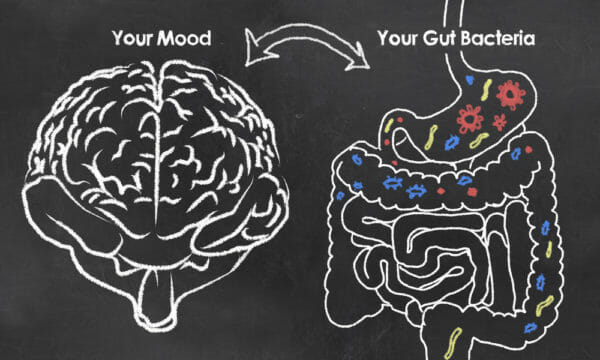 gut bacteria affects your mood