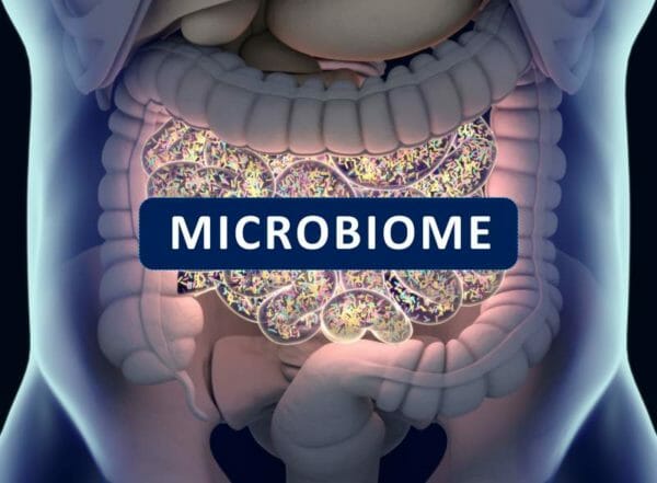 human gut microbiome
