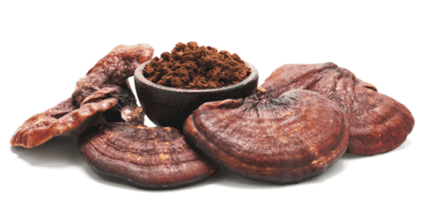 Reishi Antiandrogenic