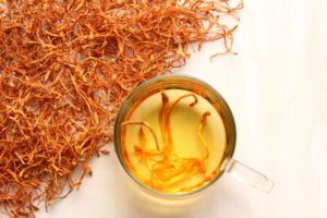 cordyceps for weight loss in tea and coffee