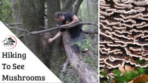 Hiking for Mushrooms