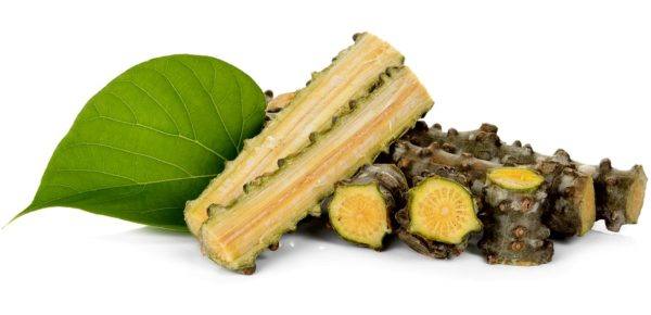 health benefits of guduchi Tinospora Cordifolia