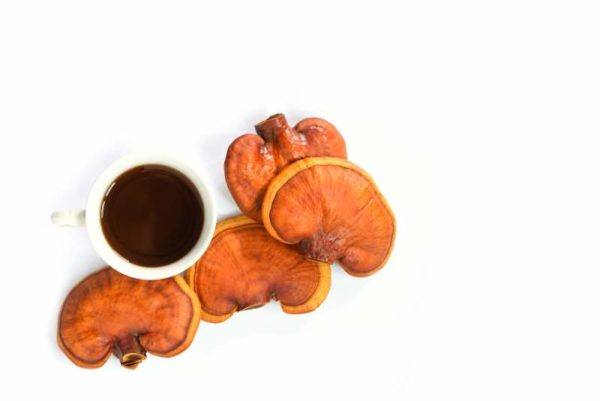 reishi mushrooms for making tea