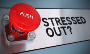 Stress Management: How Medicinal Mushrooms Can Help
