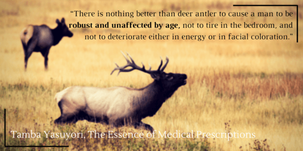 Elk Quote