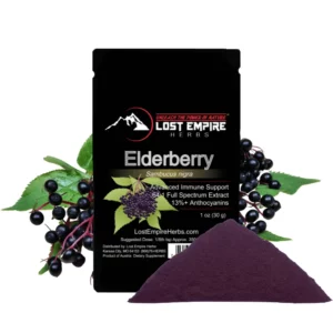 Elderberry Powder 64:1 Extract (30 Grams)
