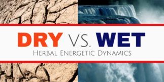 Dry vs Wet Herbal Energetic Dynamics